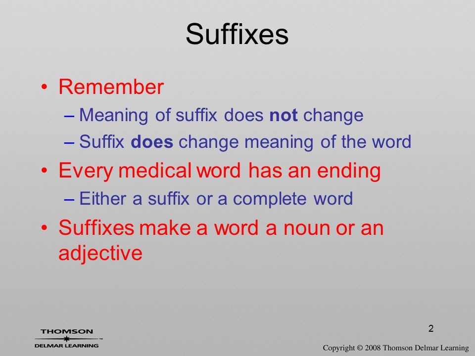 Chapter 3 Suffixes Ppt Download