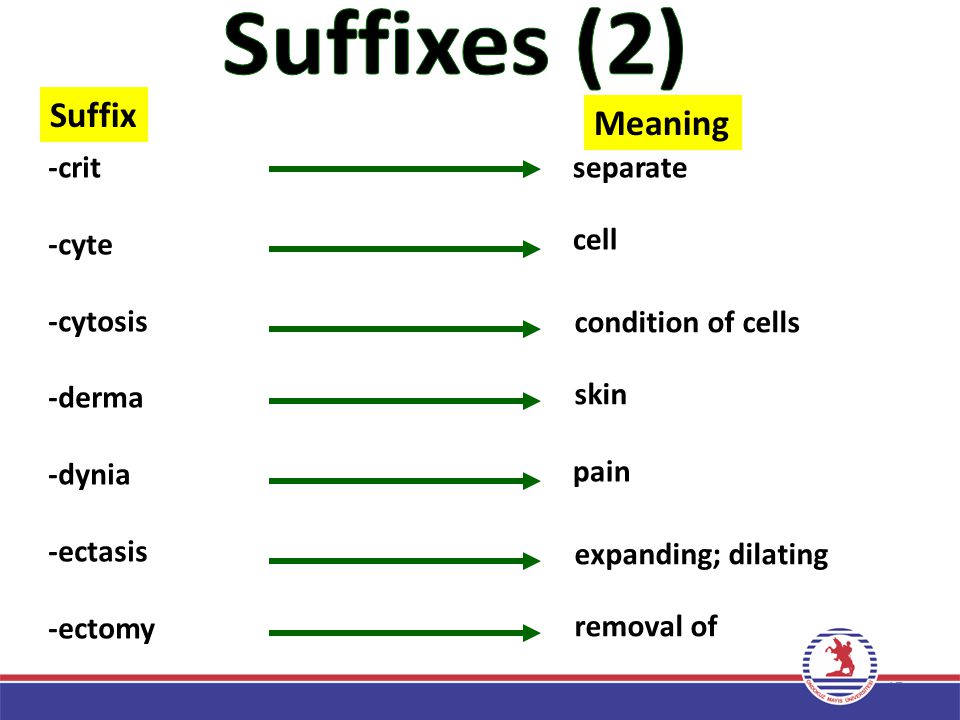 Medical Terminology – Lecture 3 - ppt video online download