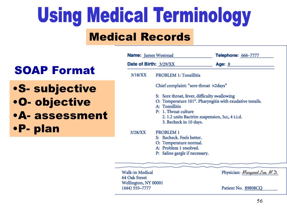 Medical Terminology Learning Terminology Ppt Video Online Download Medical Terminology Learning Terminology Ppt Video Online Download