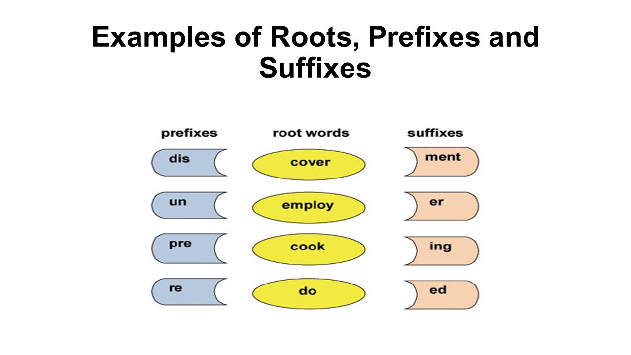 Root Word Prefix, and Suffix. 