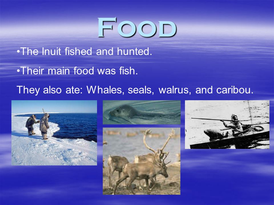 Food The Inuit fished and hunted. Their main food was fish.