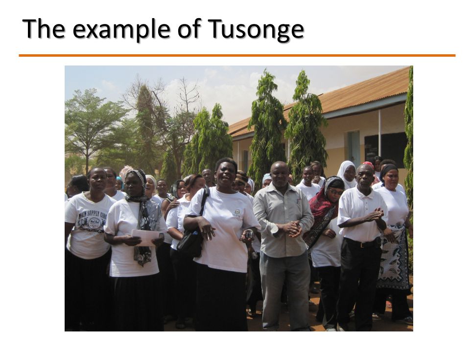 The example of Tusonge Individual and organization profiles