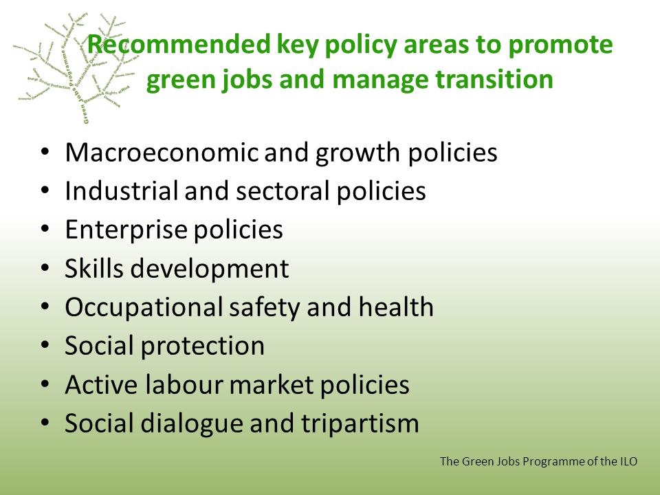 Recommended key policy areas to promote green jobs and manage transition