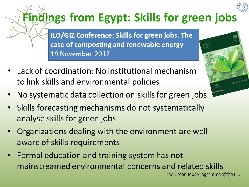 Findings from Egypt: Skills for green jobs