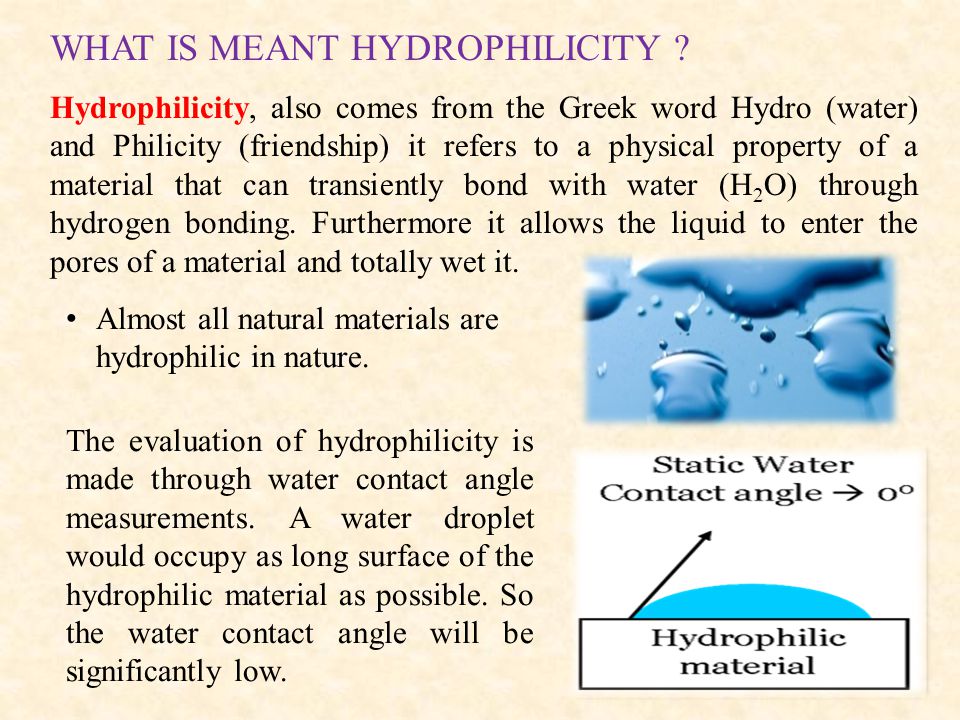 Hydrophobic And Hydrophilic Ppt Download