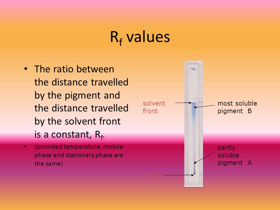 Rf values The ratio between the distance travelled by the pigment and the distance travelled by the solvent front is a constant, Rf.