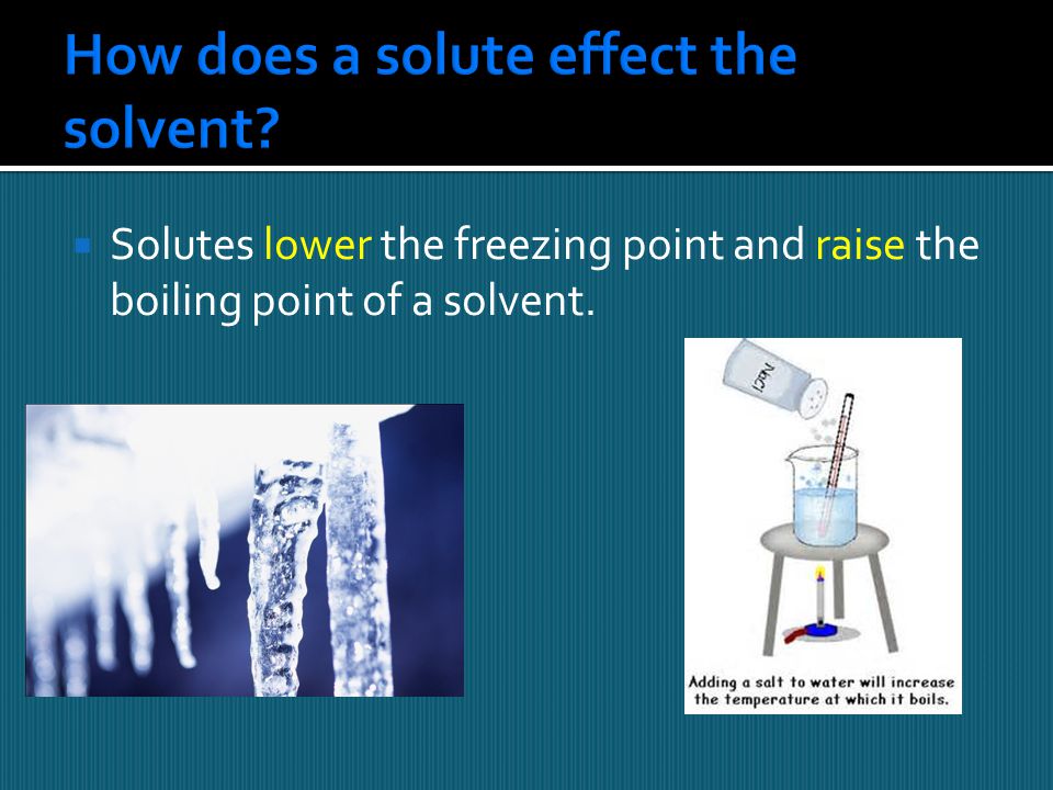 How does a solute effect the solvent