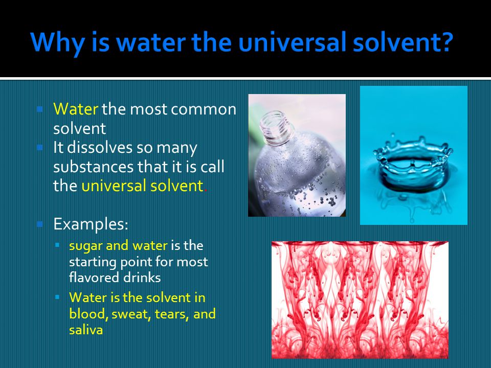 Why is water the universal solvent