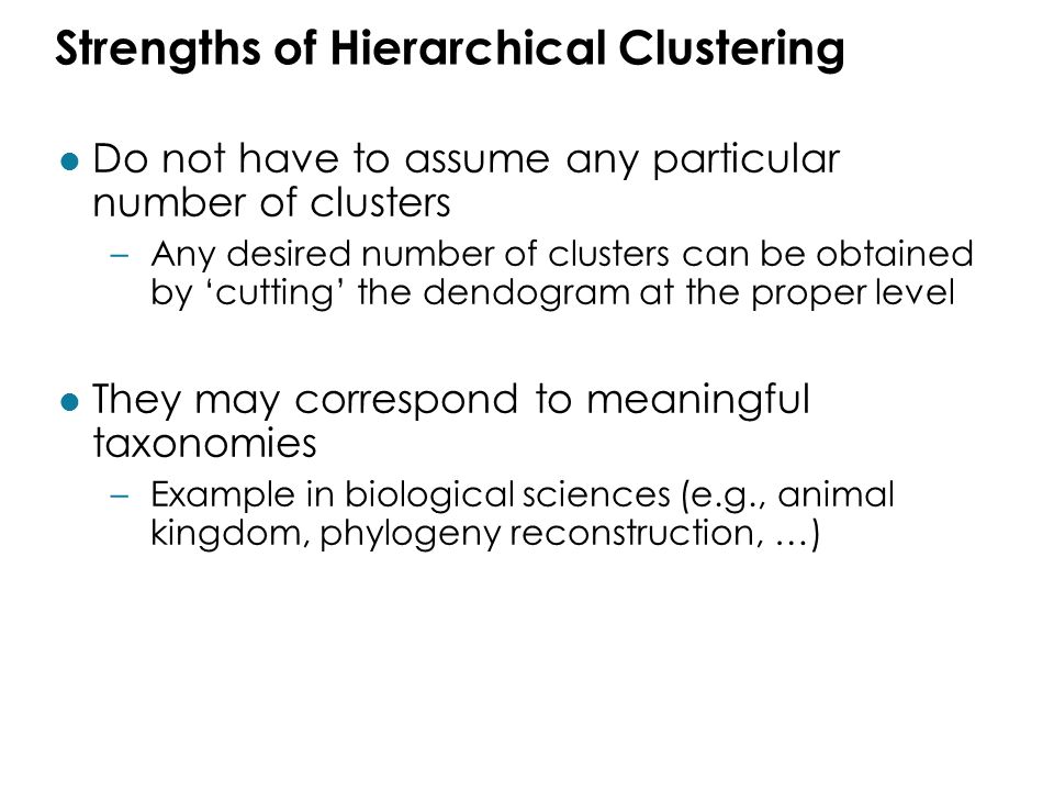Strengths of Hierarchical Clustering