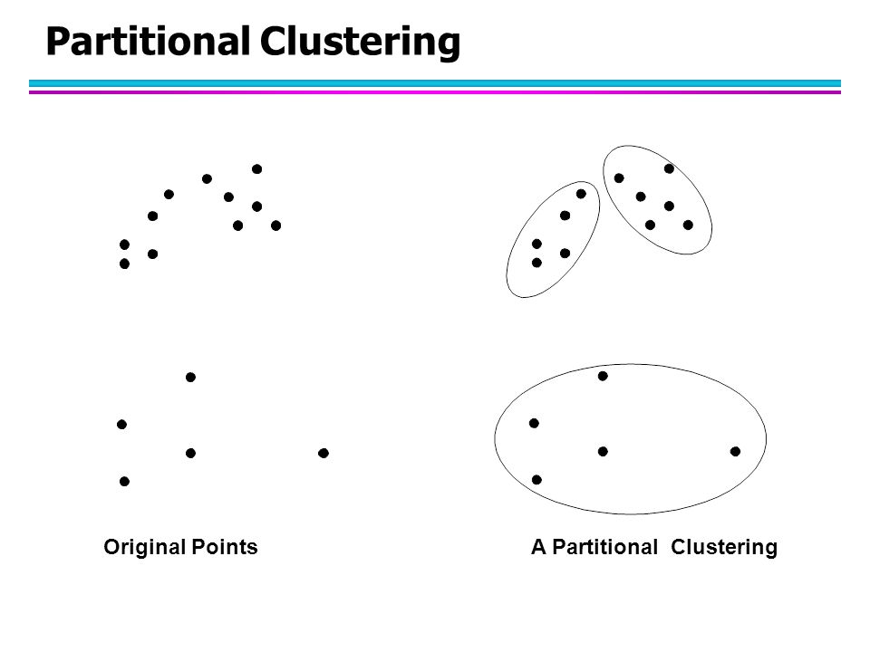 Partitional Clustering
