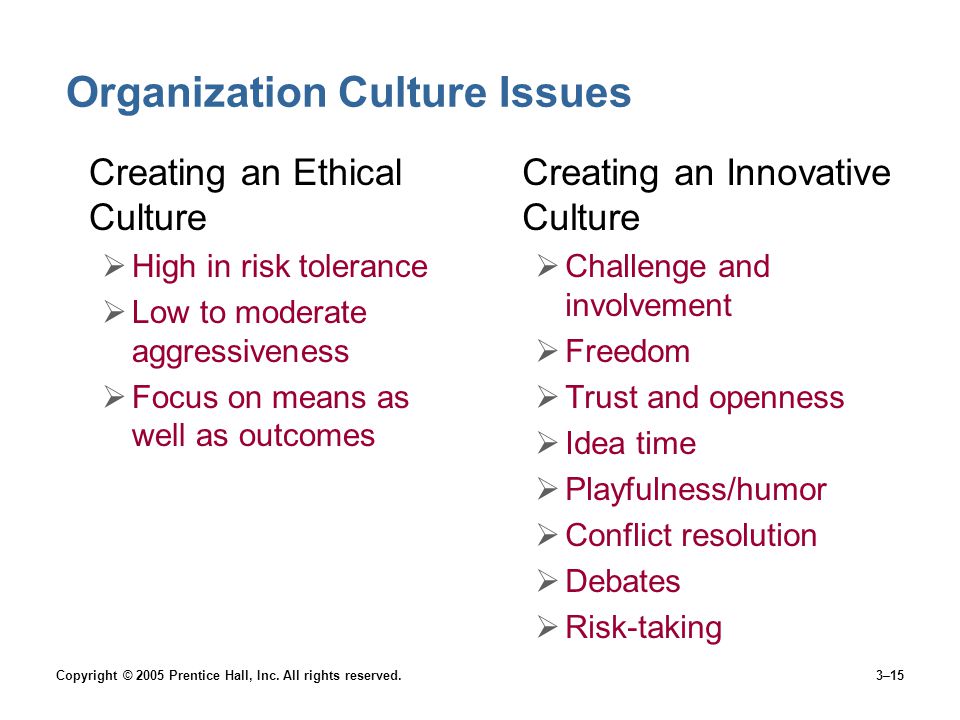 Organization Culture Issues