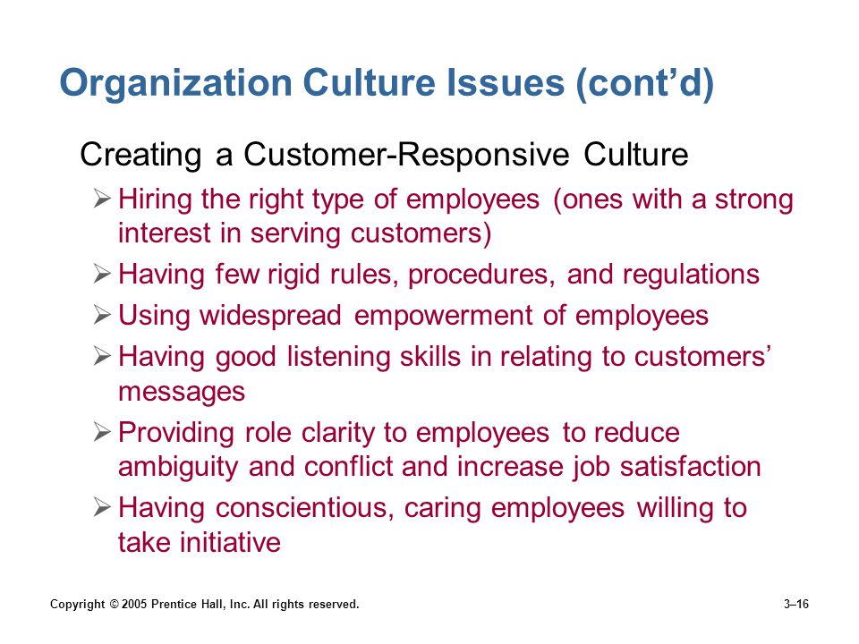 Organization Culture Issues (cont’d)
