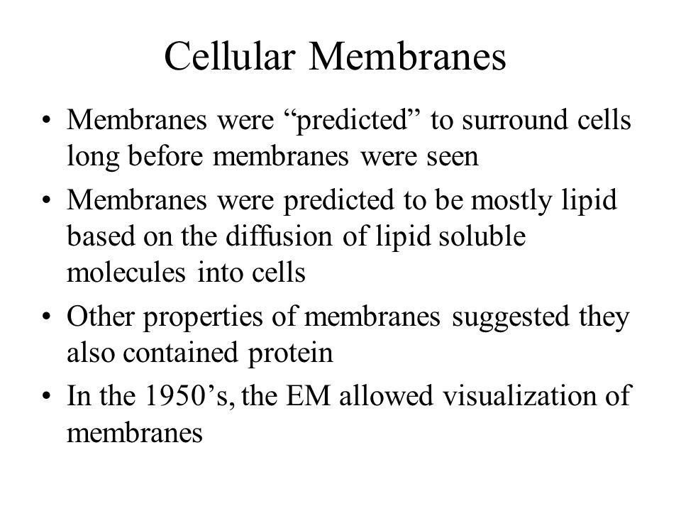 Cellular Membranes Membranes were predicted to surround cells long before membranes were seen.
