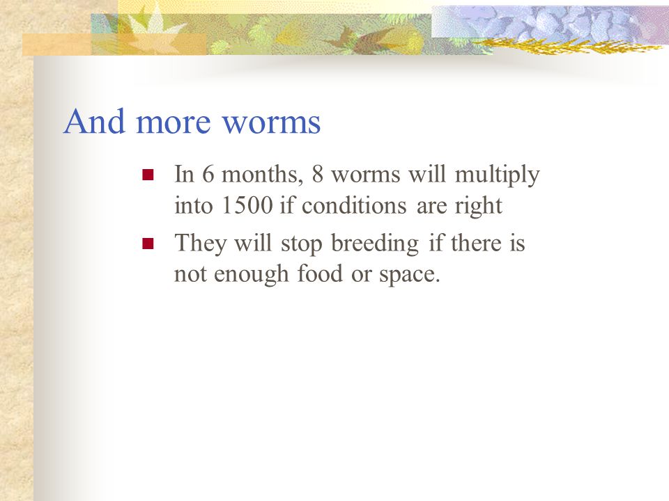 And more worms In 6 months, 8 worms will multiply into 1500 if conditions are right.