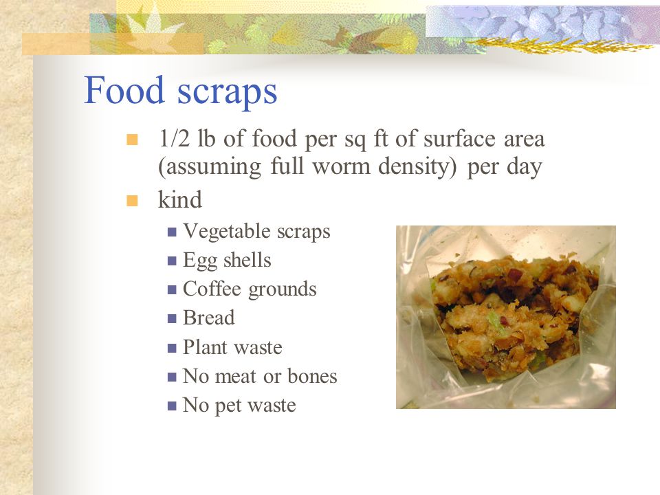 Food scraps 1/2 lb of food per sq ft of surface area (assuming full worm density) per day. kind. Vegetable scraps.