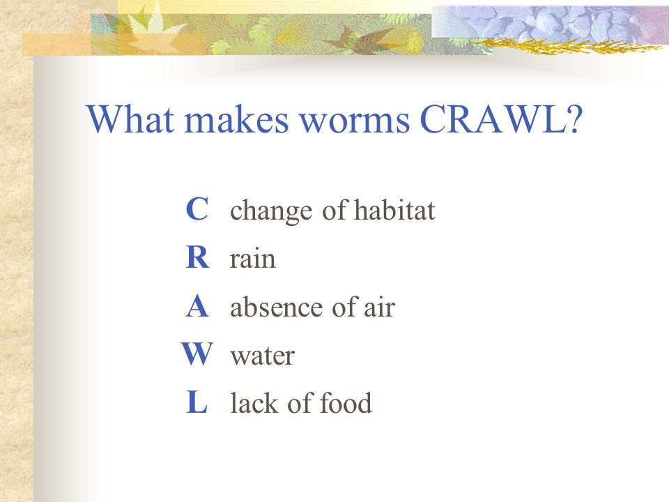 What makes worms CRAWL C change of habitat R rain A absence of air