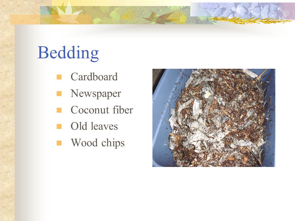 Bedding Cardboard Newspaper Coconut fiber Old leaves Wood chips