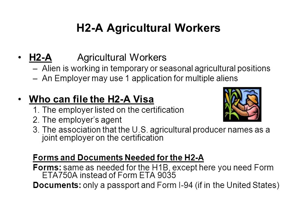 H2-A Agricultural Workers