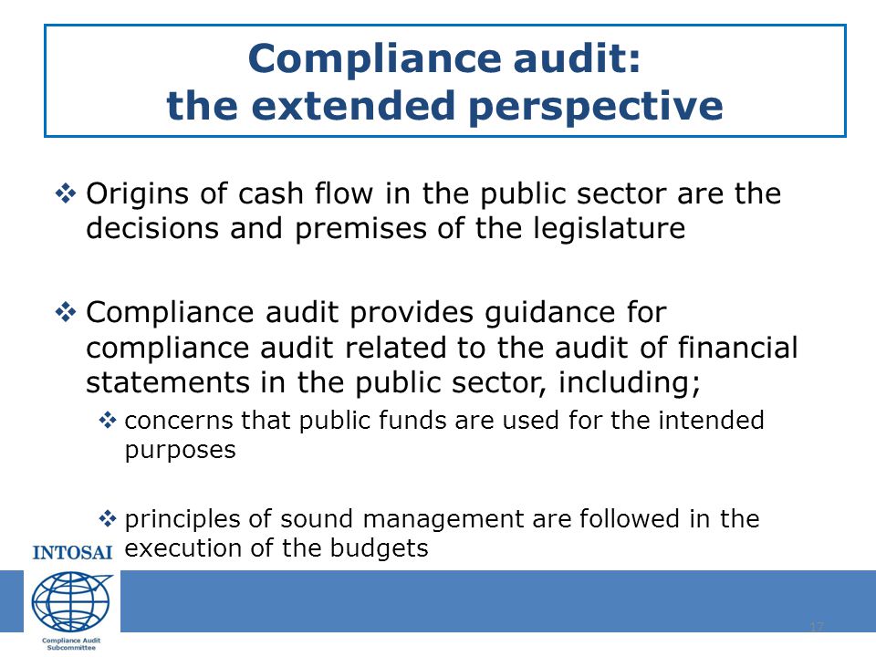 Compliance audit: the extended perspective