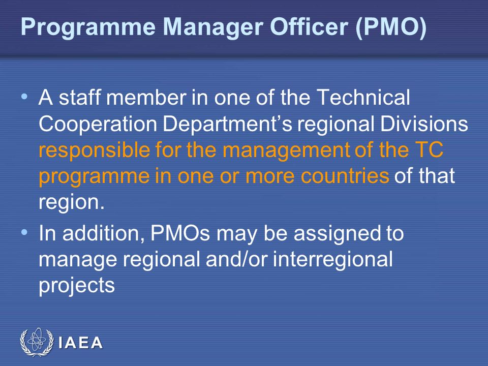 Programme Manager Officer (PMO)