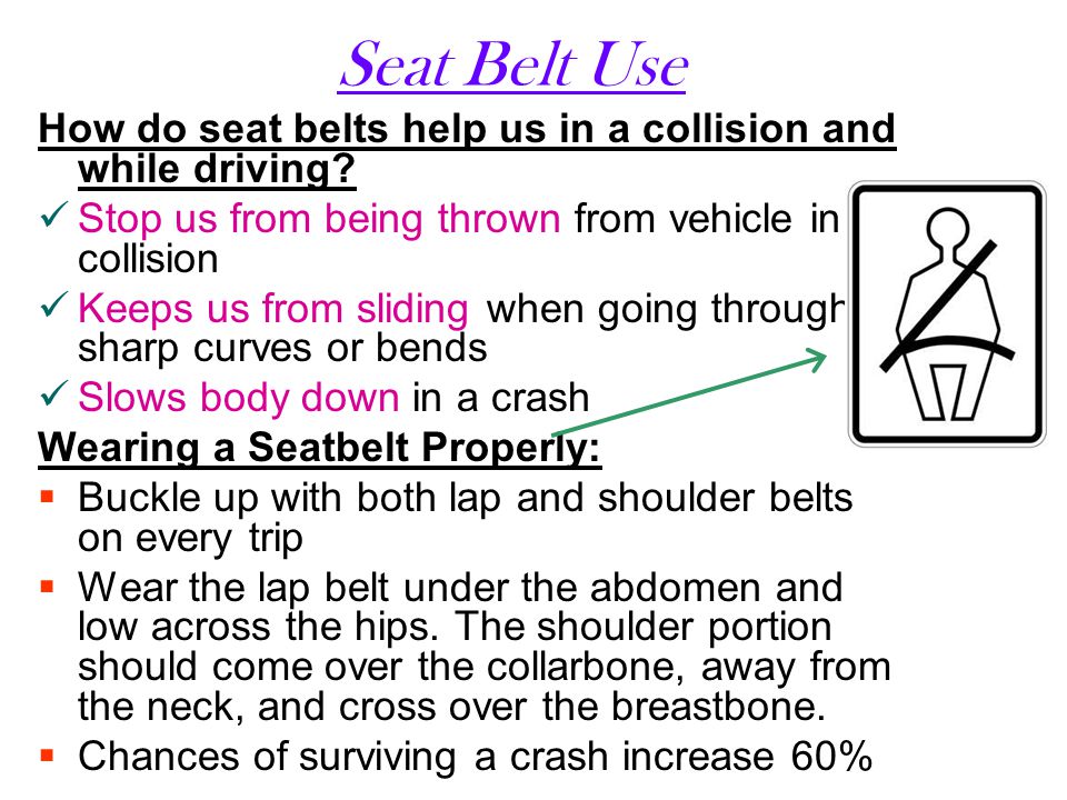Seat Belt Use How do seat belts help us in a collision and while driving Stop us from being thrown from vehicle in a collision.