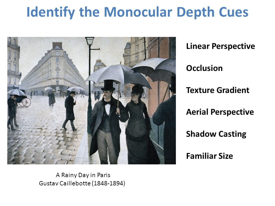 Identify the Monocular Depth Cues