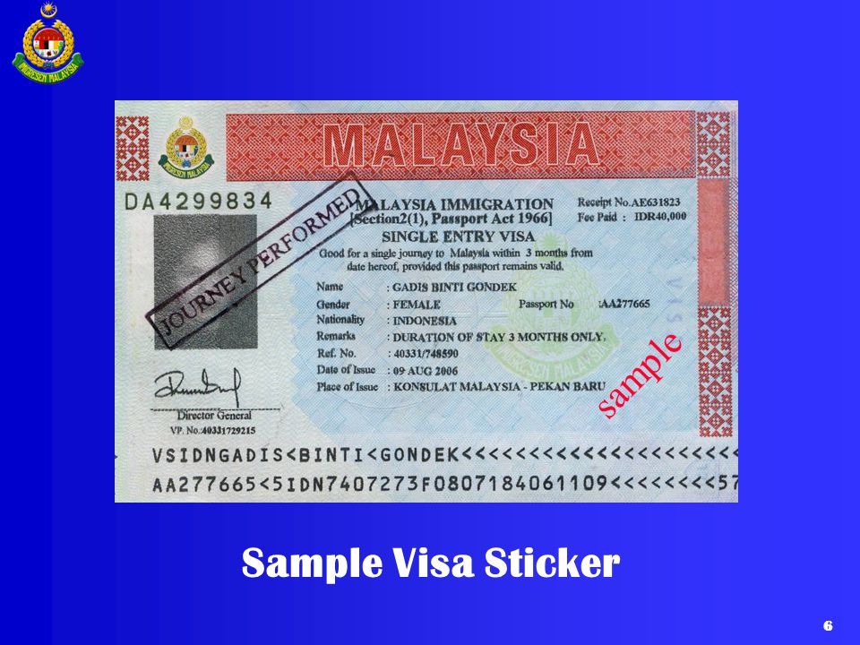 sample Sample Visa Sticker 6