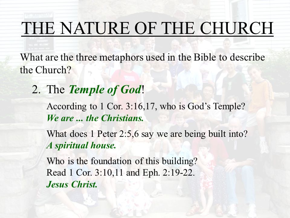 THE NATURE OF THE CHURCH