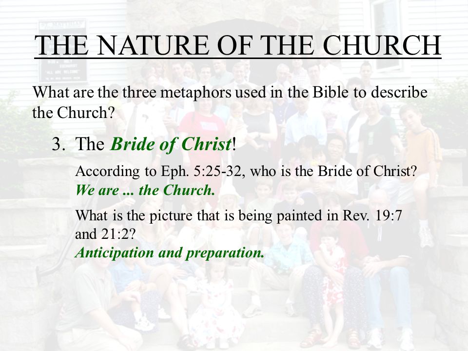 THE NATURE OF THE CHURCH