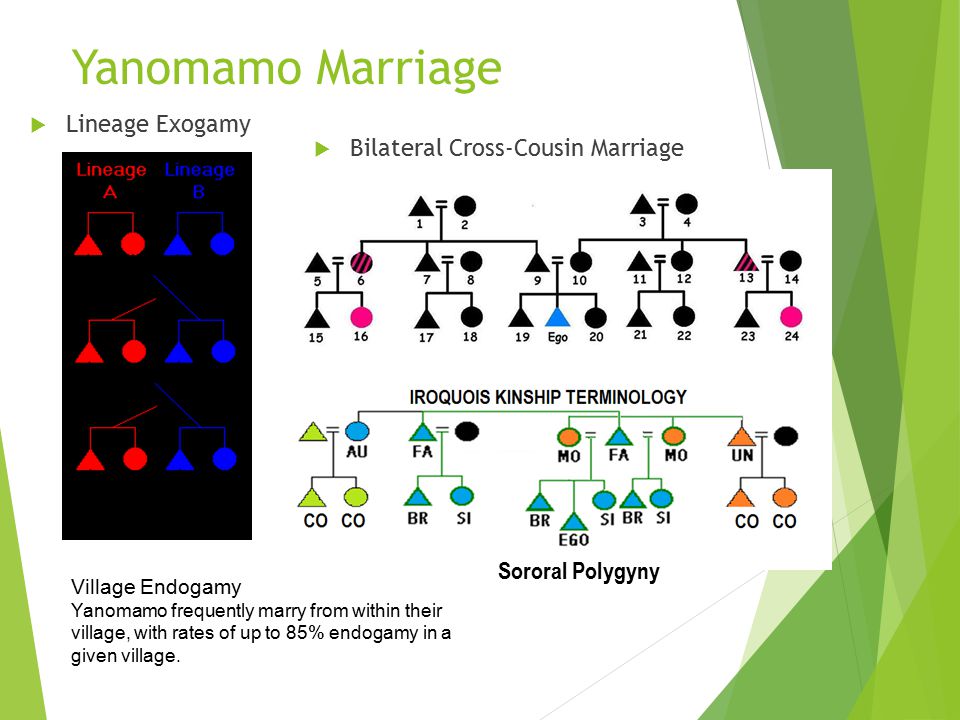 Yanomamo Marriage Lineage Exogamy Bilateral Cross-Cousin Marriage.