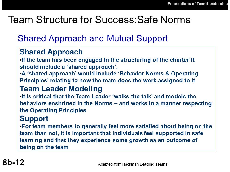 Team Structure for Success:Safe Norms
