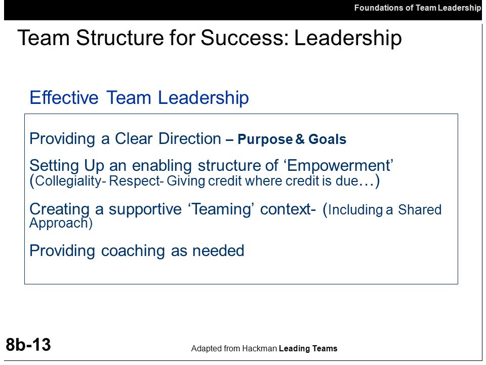 Team Structure for Success: Leadership