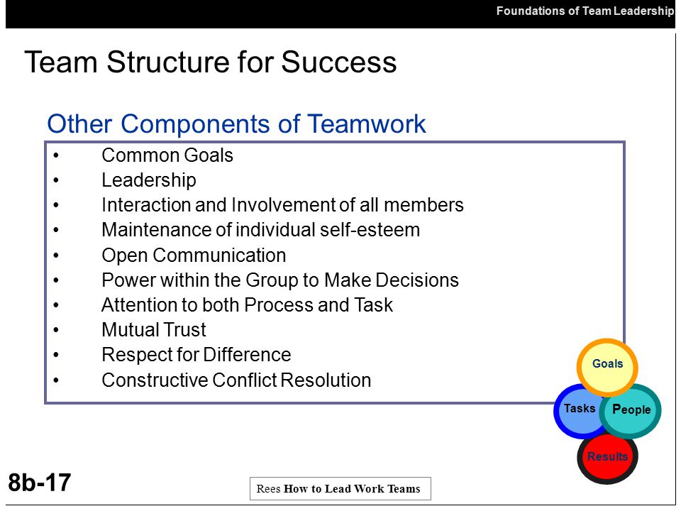 Team Structure for Success