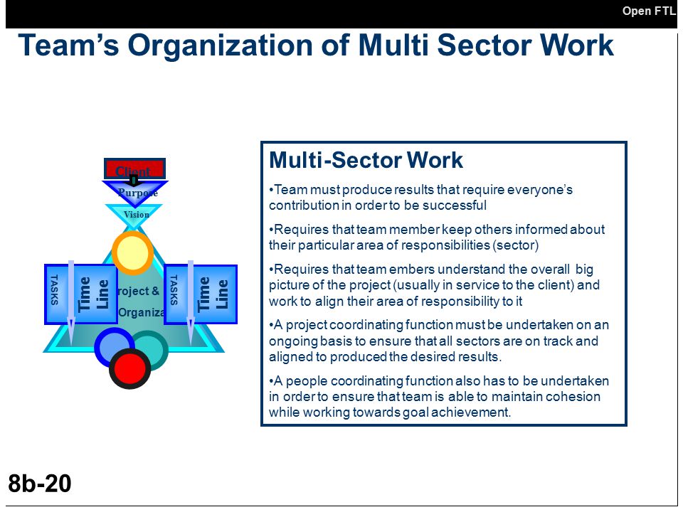 Team’s Organization of Multi Sector Work