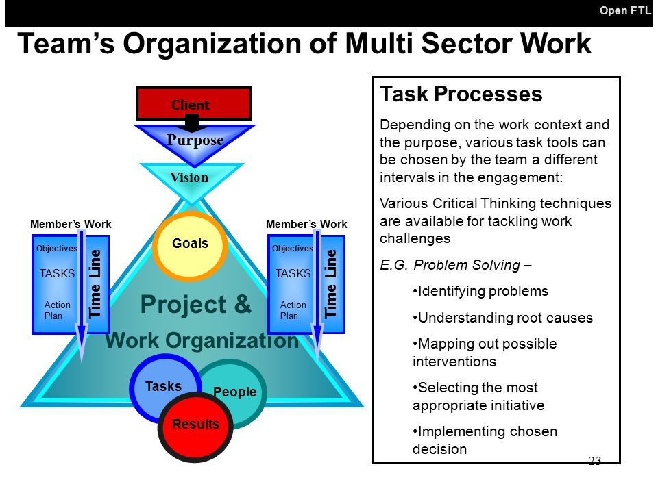 Team’s Organization of Multi Sector Work