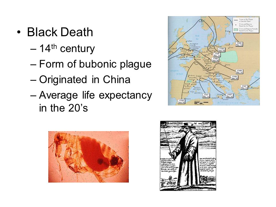 Black Death 14th century Form of bubonic plague Originated in China