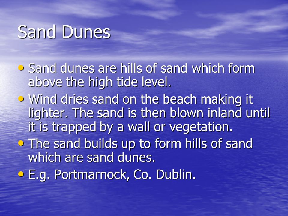 Sand Dunes Sand dunes are hills of sand which form above the high tide level.