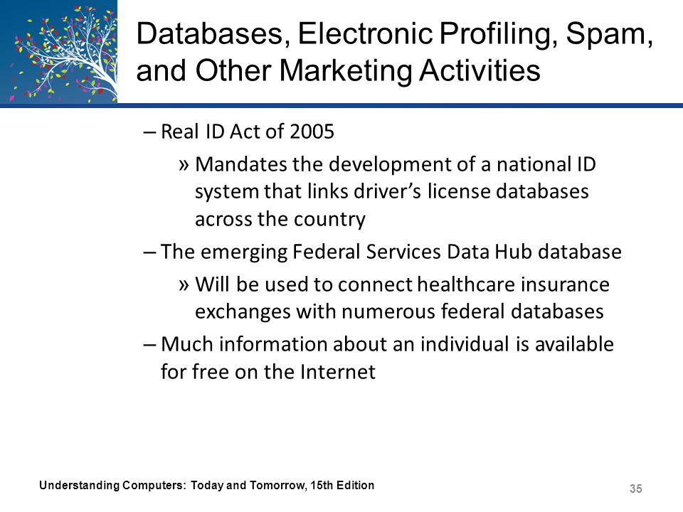 Databases, Electronic Profiling, Spam, and Other Marketing Activities