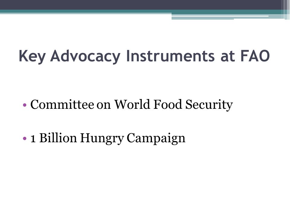 Key Advocacy Instruments at FAO