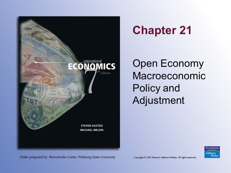 Open Economy Macroeconomic Policy and Adjustment