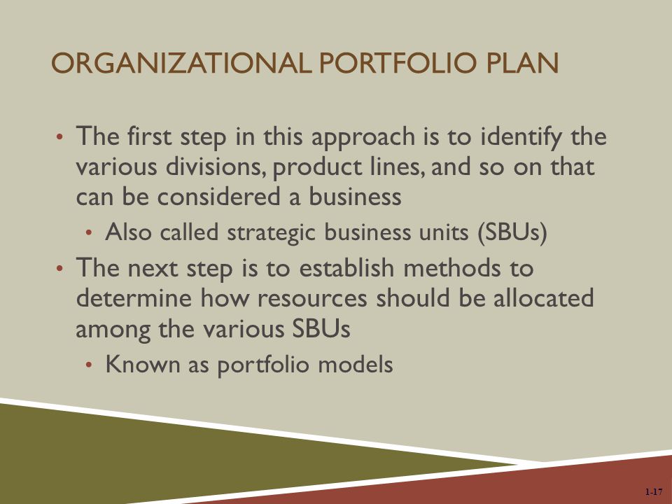 Organizational Portfolio Plan