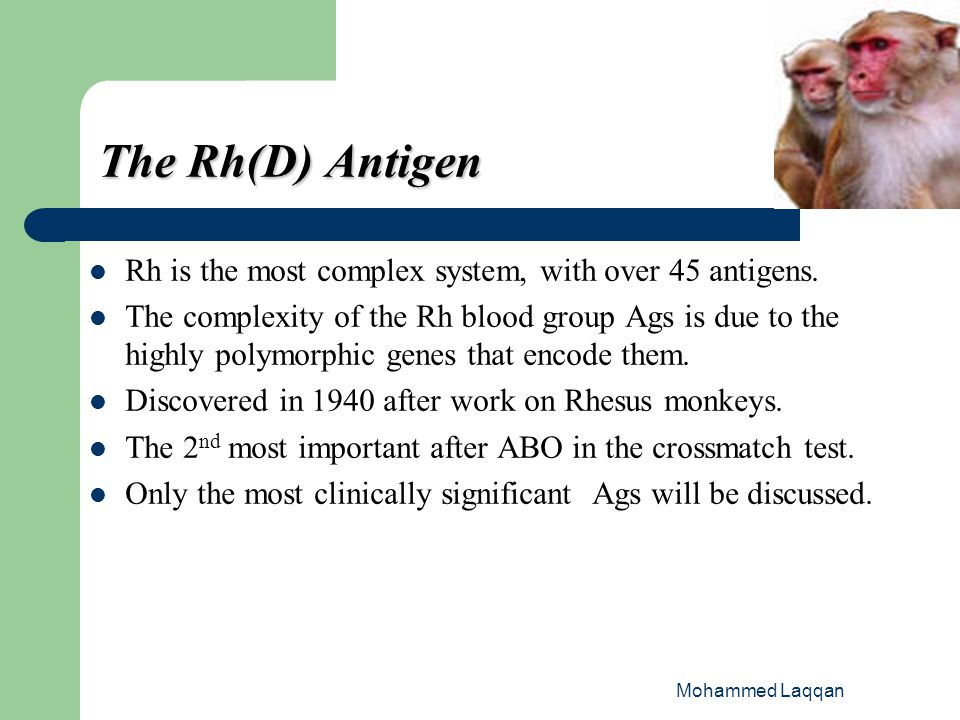 The Rhesus Rh Blood Group System Ppt Video Online Download The Rhesus Rh Blood Group System Ppt Video Online Download