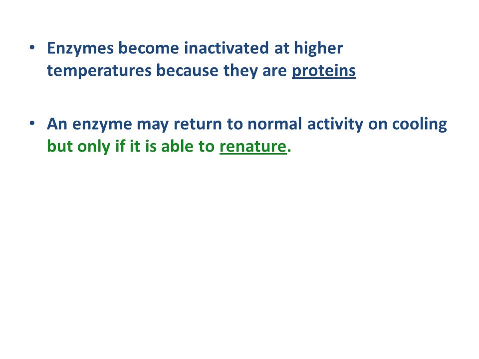 Enzymes become inactivated at higher temperatures because they are proteins