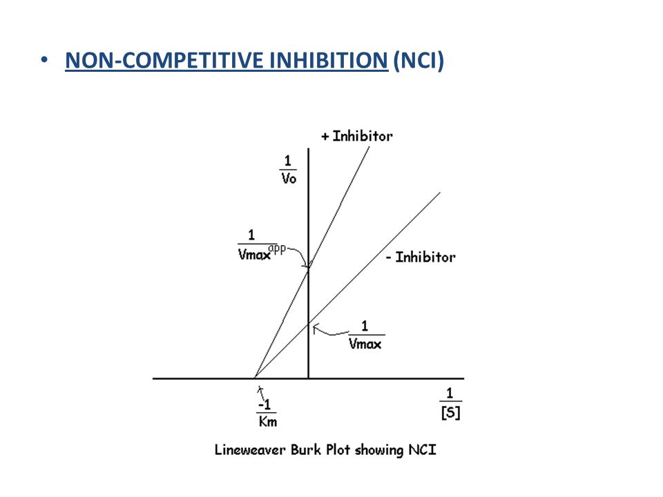 NON-COMPETITIVE INHIBITION (NCI)