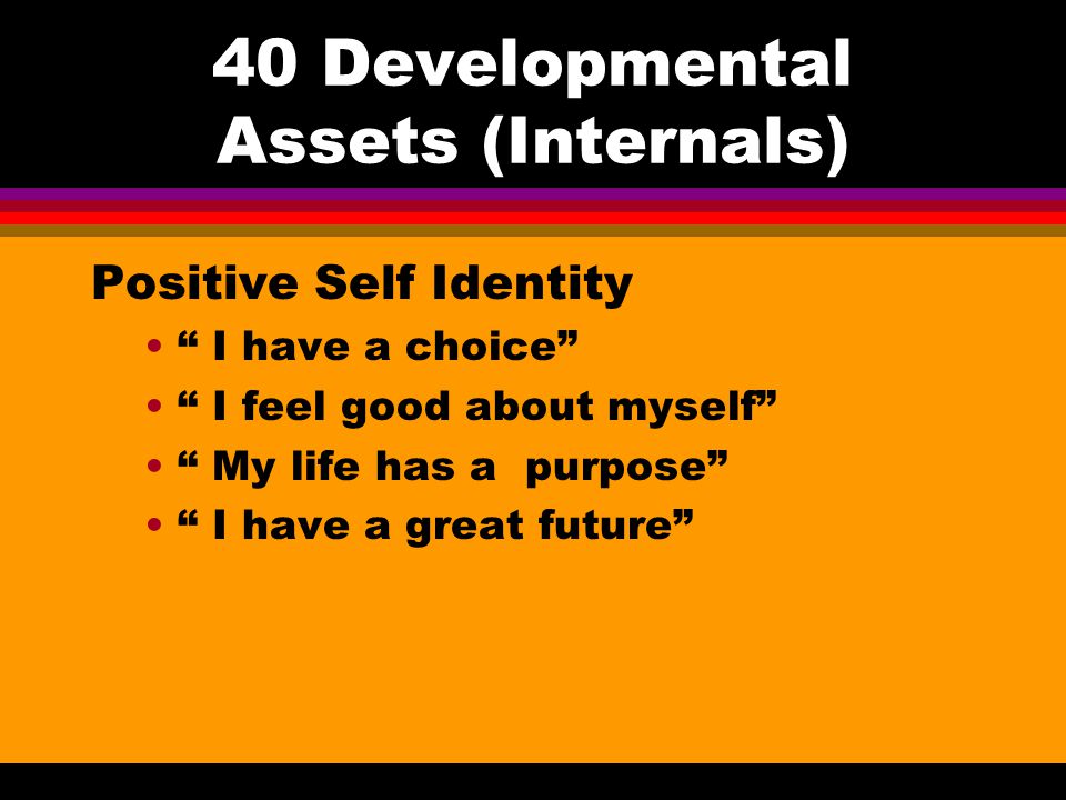 40 Developmental Assets (Internals)