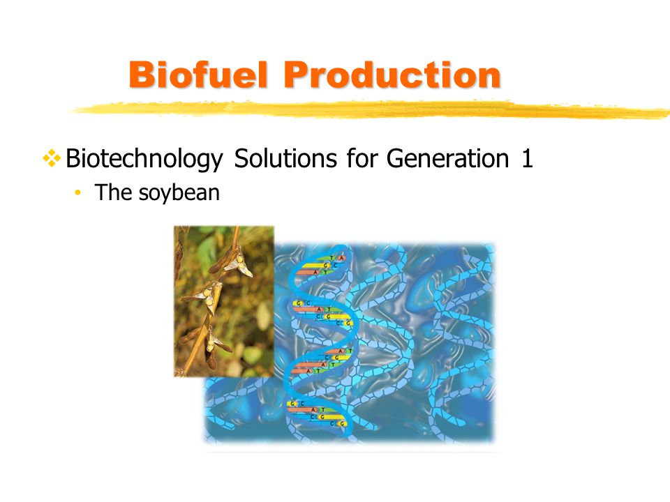 Biofuel Production Biotechnology Solutions for Generation 1