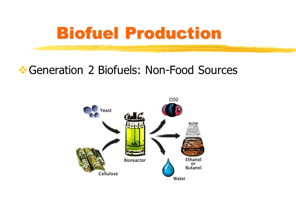 Biofuel Production Generation 2 Biofuels: Non-Food Sources