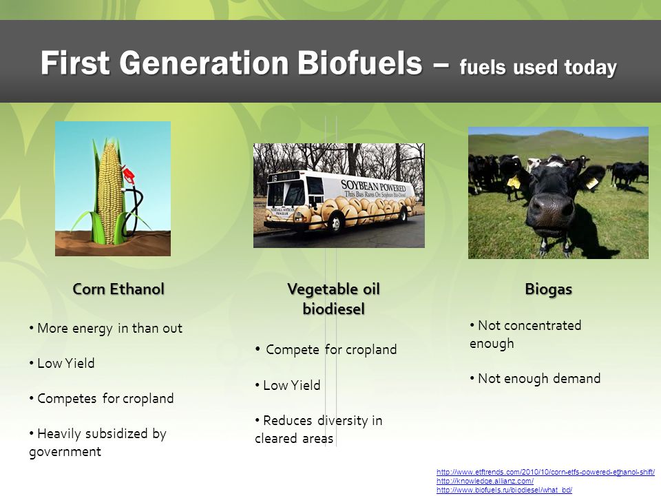 Brokke sig De er arkiv Next Generation Biofuels - ppt download