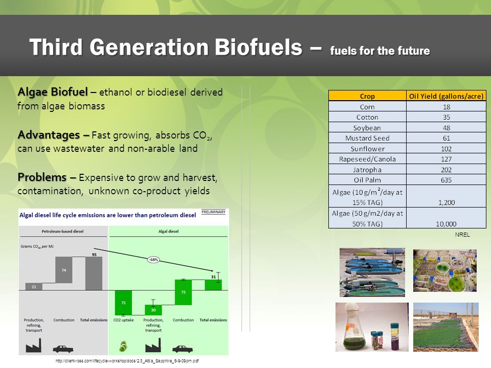 Next Generation Biofuels - ppt download