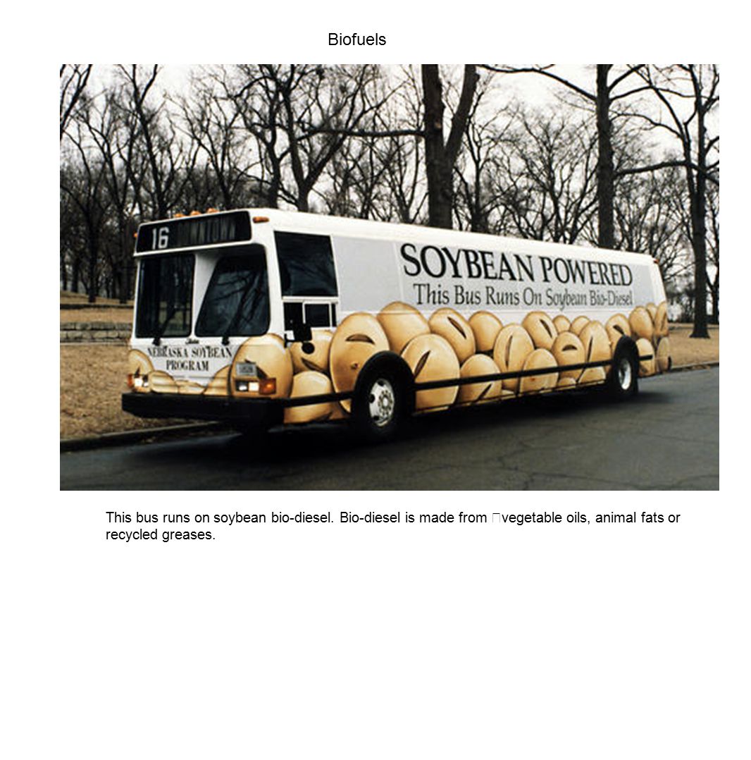 Biofuels This bus runs on soybean bio-diesel.